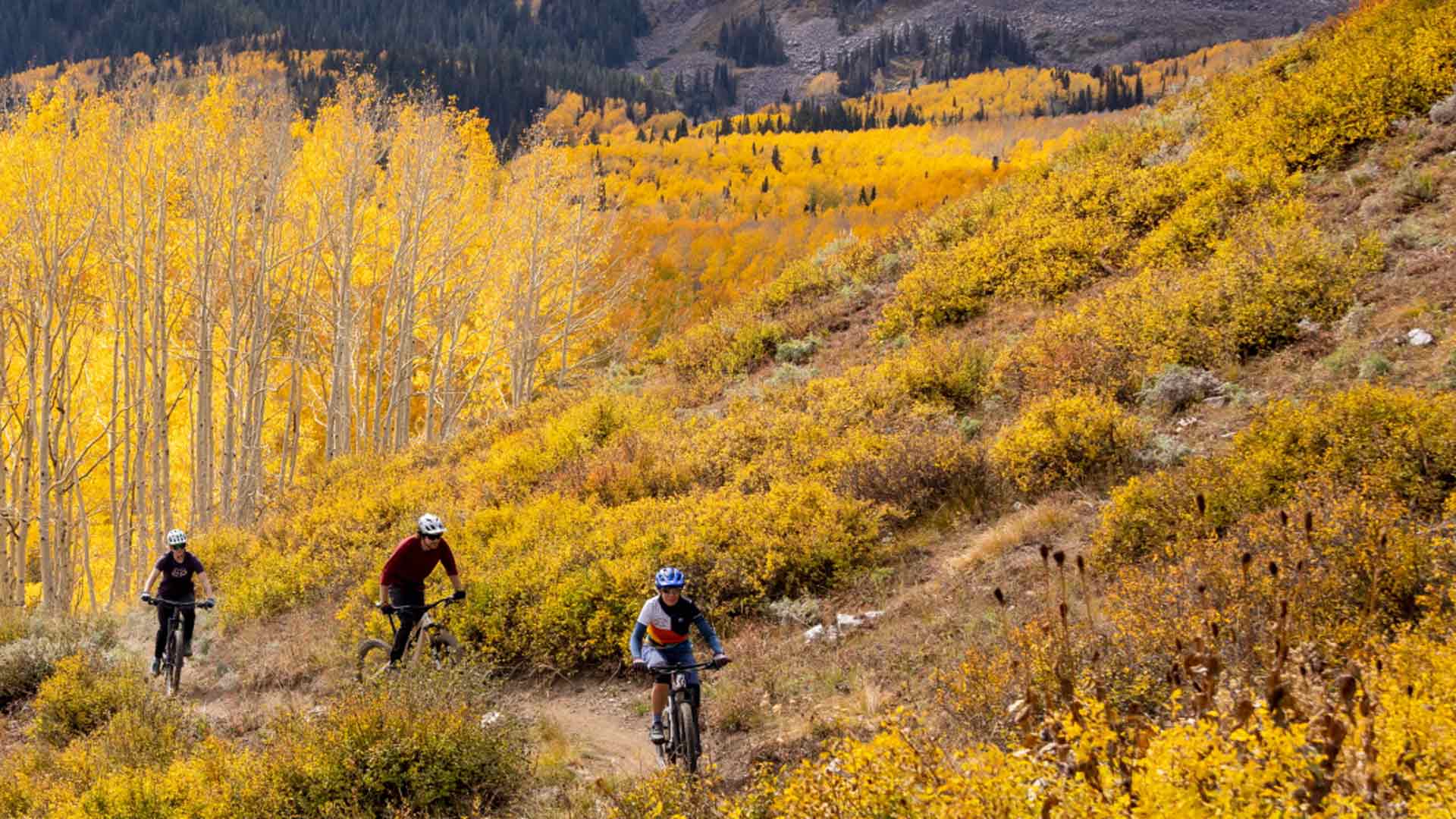 Three mountain bikers ride a trail overlooking yellow aspens during a fall ride in Park City, UT