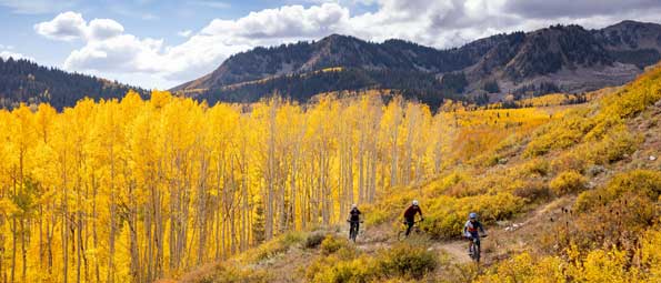 Three mountain bikers ride a trail overlooking yellow aspens during a fall ride in Park City, UT