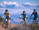 Guided Mountain Biking